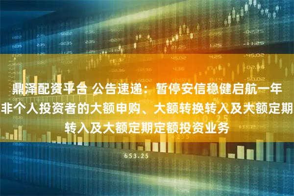 鼎泽配资平台 公告速递：暂停安信稳健启航一年持有混合基金非个人投资者的大额申购、大额转换转入及大额定期定额投资业务