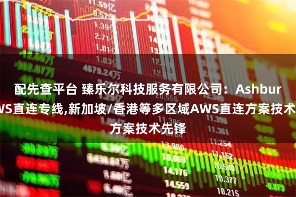 配先查平台 臻乐尔科技服务有限公司：AshburnAWS直连专线,新加坡/香港等多区域AWS直连方案技术先锋