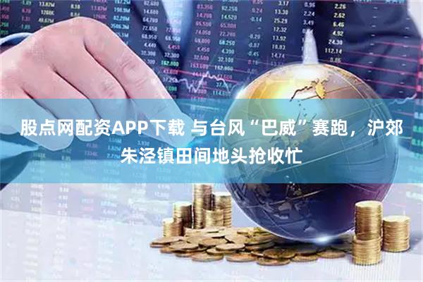 股点网配资APP下载 与台风“巴威”赛跑，沪郊朱泾镇田间地头抢收忙